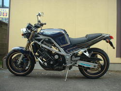 nico_fzr_01.JPG
